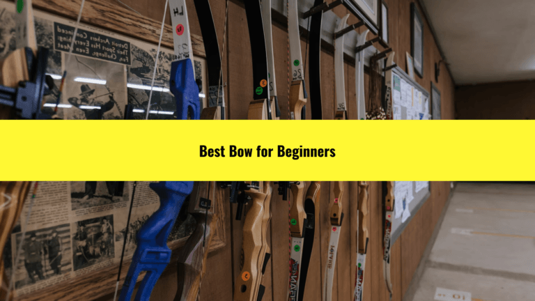 Best Bow for Beginners